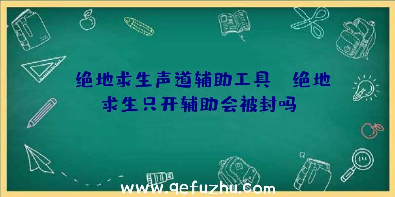 「绝地求生声道辅助工具」|绝地求生只开辅助会被封吗